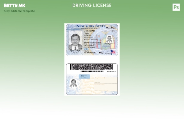 Модерен стил USA New York Commerical DL шаблон